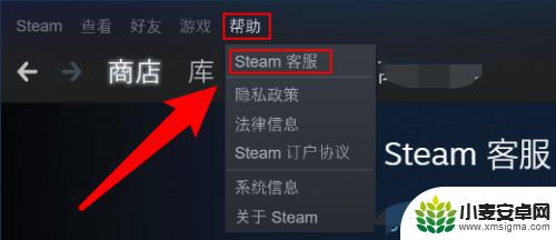 手机怎么看steam登录记录 Steam怎么查看账号最近登入记录