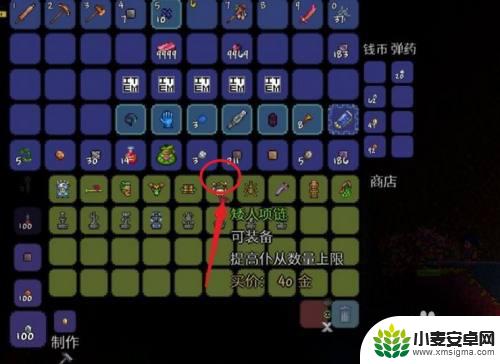 泰拉瑞亚怎么11个召唤物 泰拉瑞亚召唤11个召唤物教程