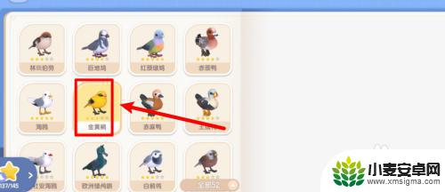 心动小镇如何拍到2星金黄鹂 心动小镇金黄鹂拍照攻略