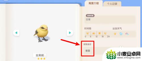 心动小镇如何拍到2星金黄鹂 心动小镇金黄鹂拍照攻略