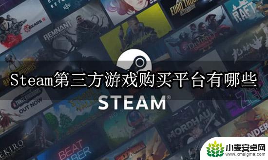 steam游戏购买第三方平台 Steam游戏正版激活码购买渠道一览