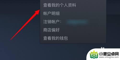 如何隐藏steam游戏时长 steam如何隐藏游戏时长