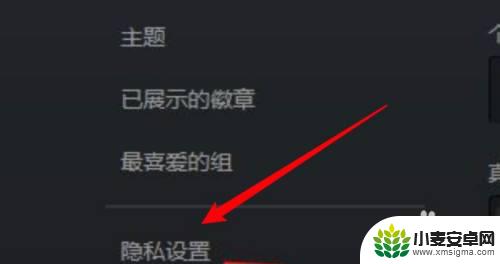 如何隐藏steam游戏时长 steam如何隐藏游戏时长