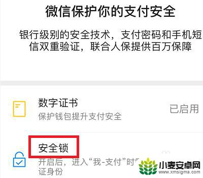 苹果手机如何给微信钱包设置密码 怎么在苹果手机上为微信钱包设置密码