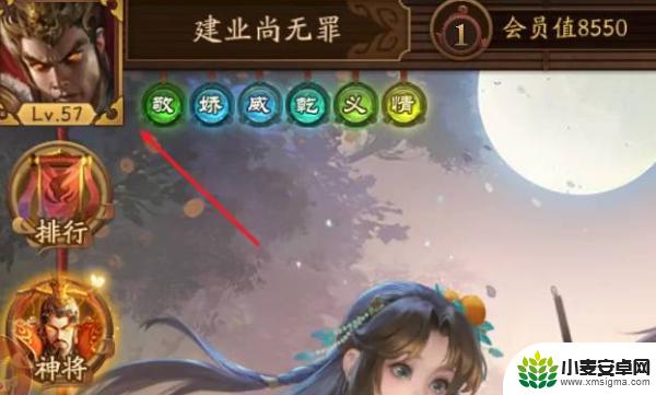 三国杀ol如何查看具体战绩 如何查看《三国杀》战绩