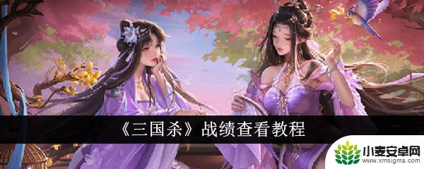 三国杀ol如何查看具体战绩 如何查看《三国杀》战绩