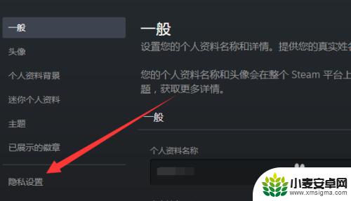 steam如何设置不让好友看你在玩什么游戏 steam好友怎么看不到我在玩什么游戏