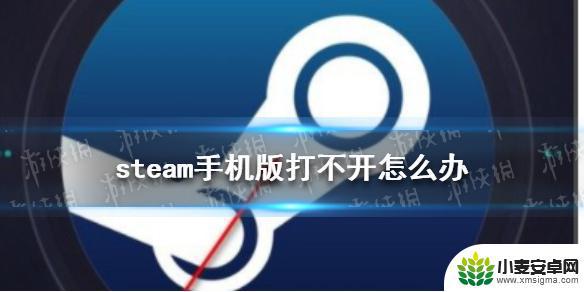 手机怎么打开steam Steam手机版打不开的解决方案分享