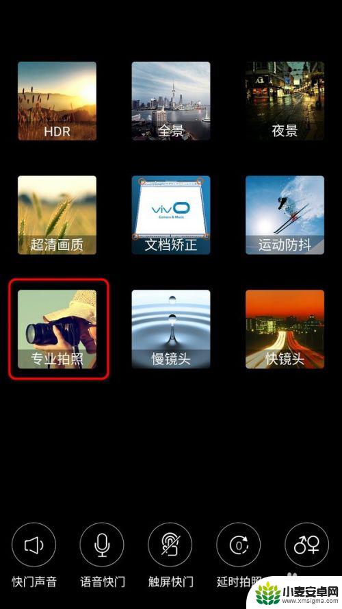 vivo手机拍黑白照哪种模式最清楚 vivo手机专业拍照模式设置步骤