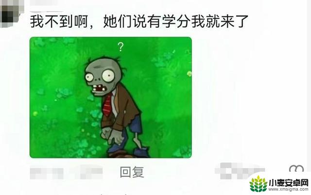 谁才是真正的植物大战僵尸玩家？网友们的评论让人笑翻！