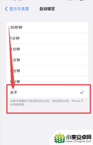 苹果手机怎么设置不熄灭屏幕 iPhone怎么设置不自动熄屏幕时间