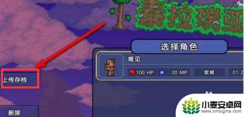 terraria steam云 泰拉瑞亚Steam云存档读取方法