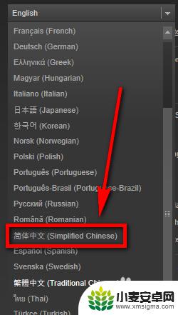 steam英文版如何登录 Steam语言设置怎么改成中文