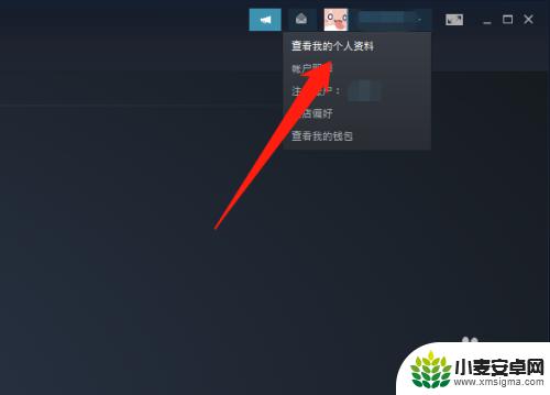 steam游戏如何购买记录 steam账号如何查看最近玩过的游戏