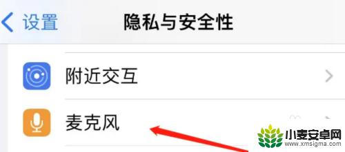 苹果手机怎么开启麦克风权限设置 苹果手机麦克风权限开启步骤