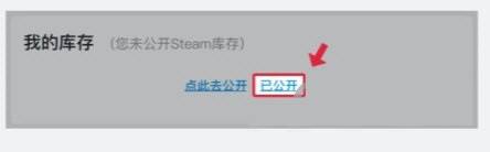 steam怎么设置库存展示 Steam如何公开展示库存