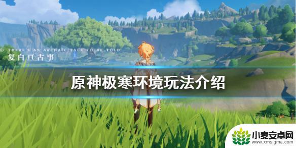 原神寒地怎么过 《原神》极寒环境攻略