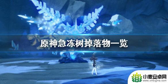 原神急冻树掉落什么 《原神手游》急冻树掉落物种类