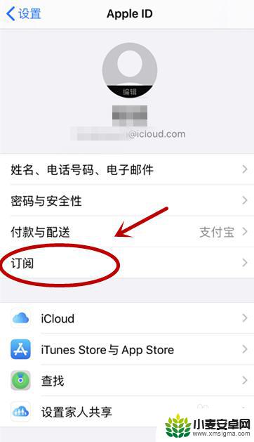 苹果手机怎么查订阅的付费服务 如何在苹果设备上查看订阅付费
