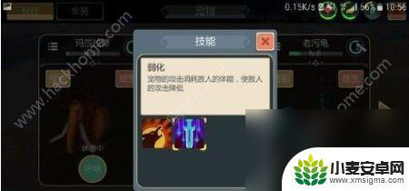 创造与魔法如何领养宠物 创造与魔法宠物大全宠物抓捕攻略