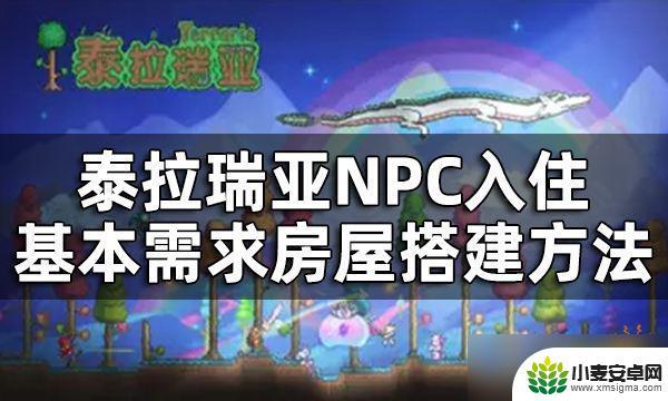 泰拉瑞亚平台怎么快速搭建 《泰拉瑞亚》NPC入住基本需求房屋搭建方法